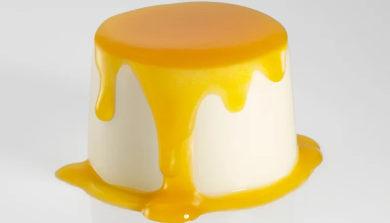 Flan de yogur de soja