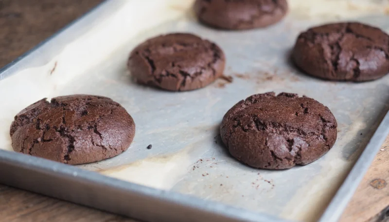 Galletas de yogur y chocolate sin huevo