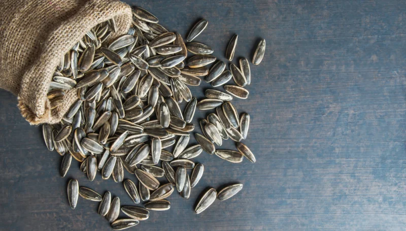Pipas de girasol tostadas