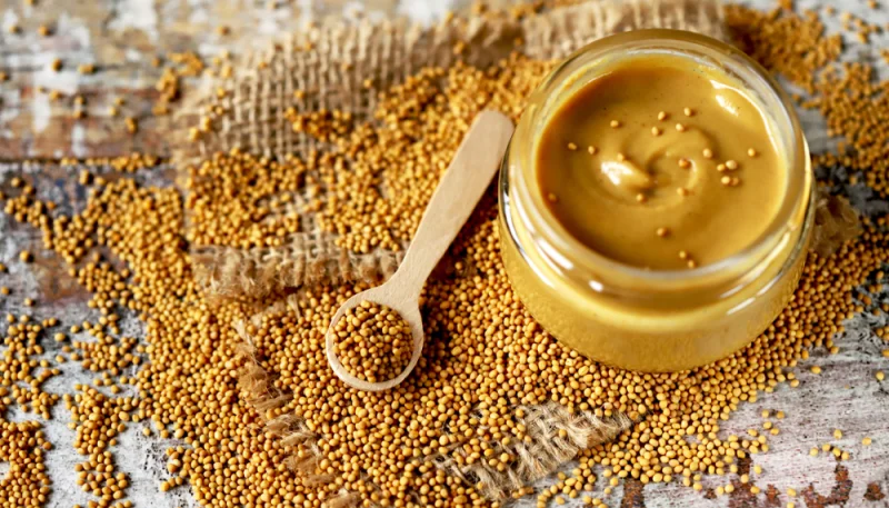 Salsa mostaza delicatessen casera