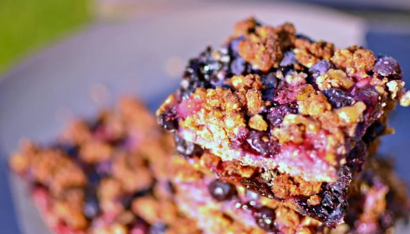 Barra de avena y arándanos
