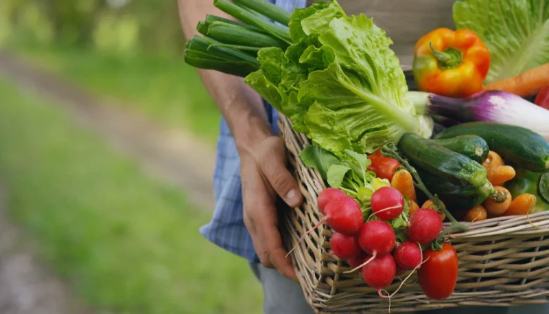 ¿Cómo consumir de forma más responsable?