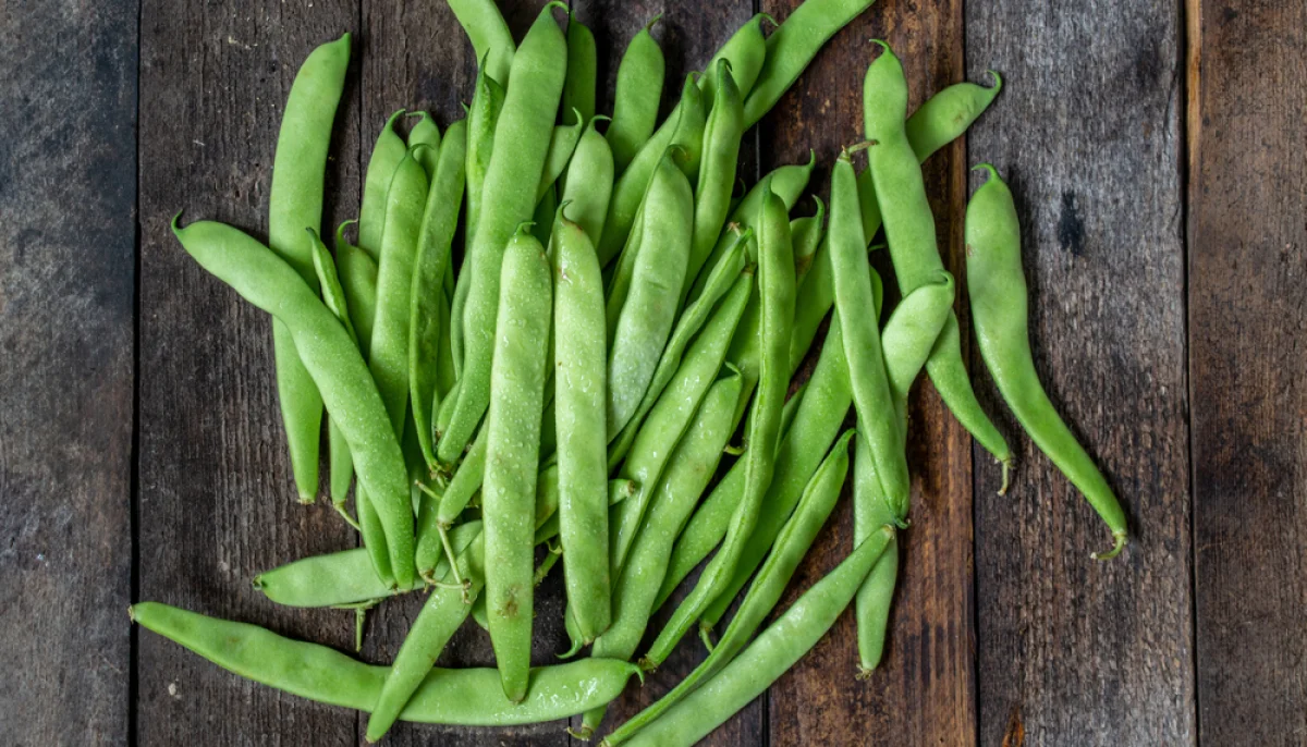 Las judías verdes