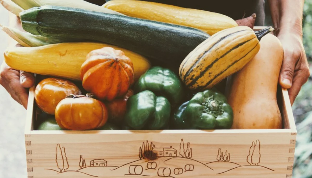 Septiembre: las 5 mejores verduras del mes