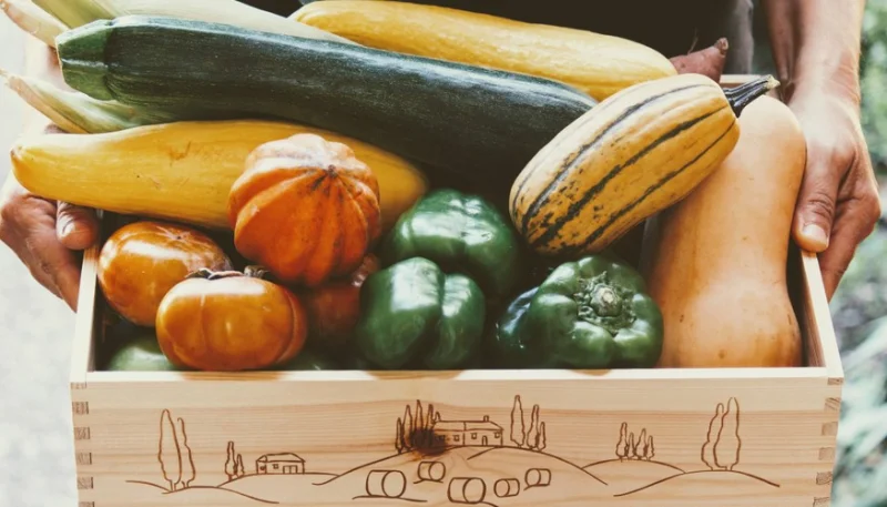 Septiembre: las 5 mejores verduras del mes