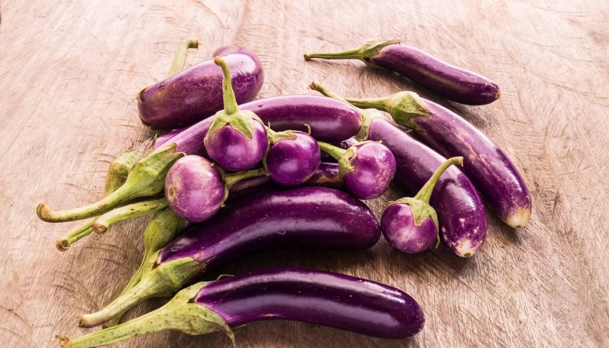 La berenjena