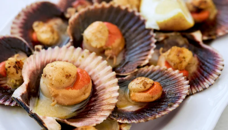 Zamburiñas a la plancha